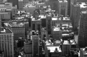 New York (34)